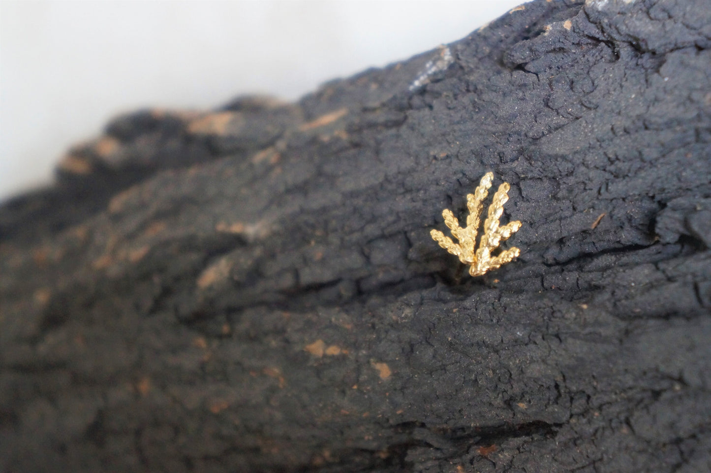 Tiny stud twig Earrings. Cypress plant Earrings, sterling Silver or 14k Goldplated. Symbol of immortality, elevation, hope and mourning.