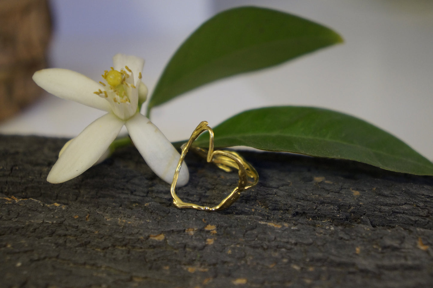 Jasmine plant Twig ring in Sterling Silver, heart Branch ring, Alternative engagement ring, love ring, Jasmine Twig Ring