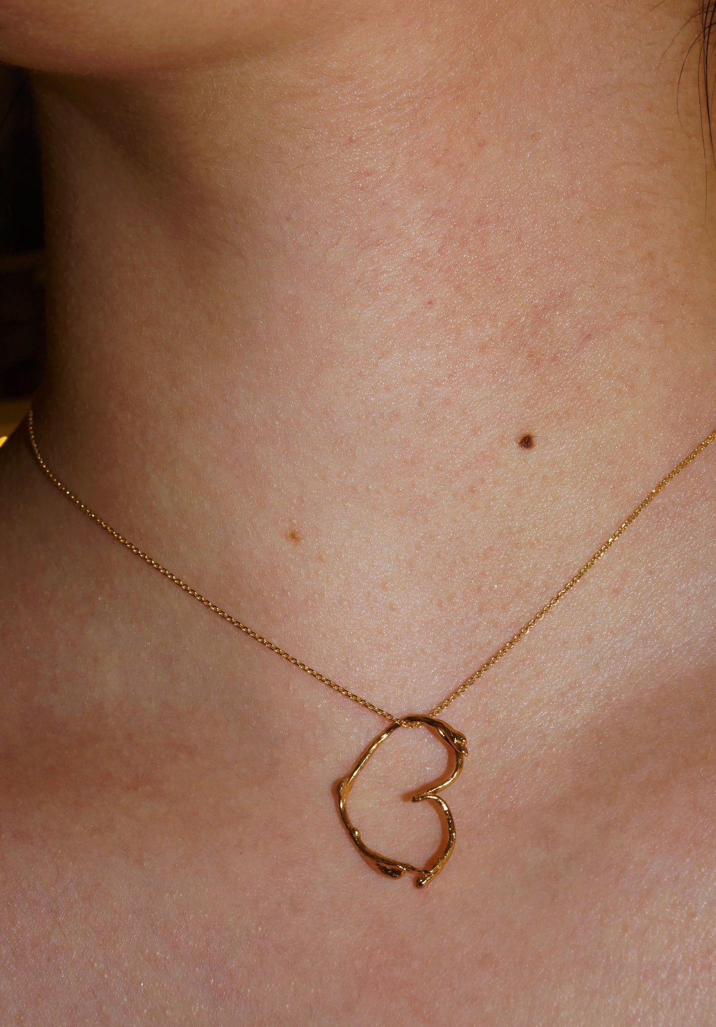 Pressed flower, Real Jasmine plant Twig Heart Necklace on Gold plated sterling silver