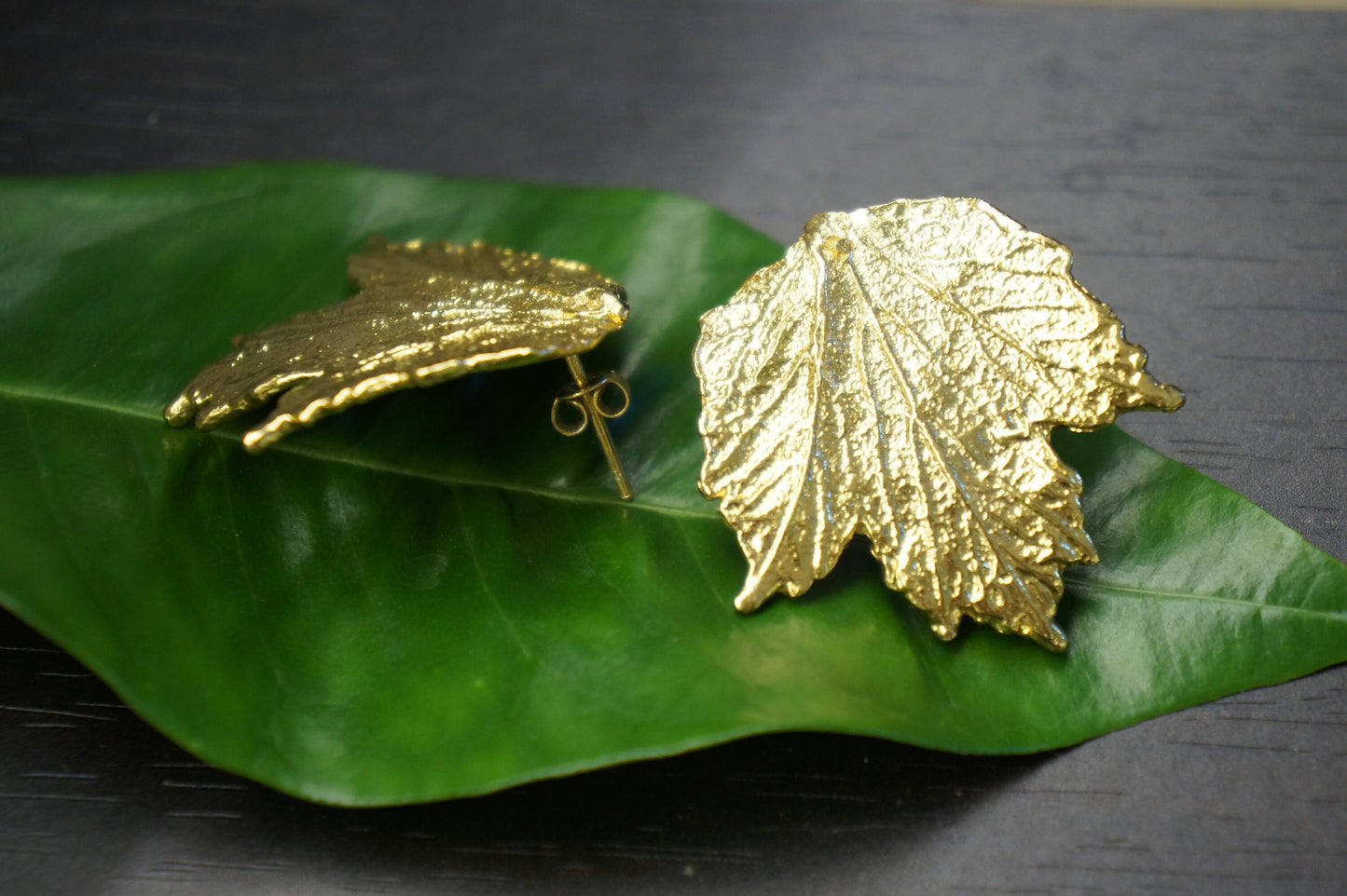 Real Bourbon Rose plant Leaf Earrings in Sterling Silver 925, Goldplated.