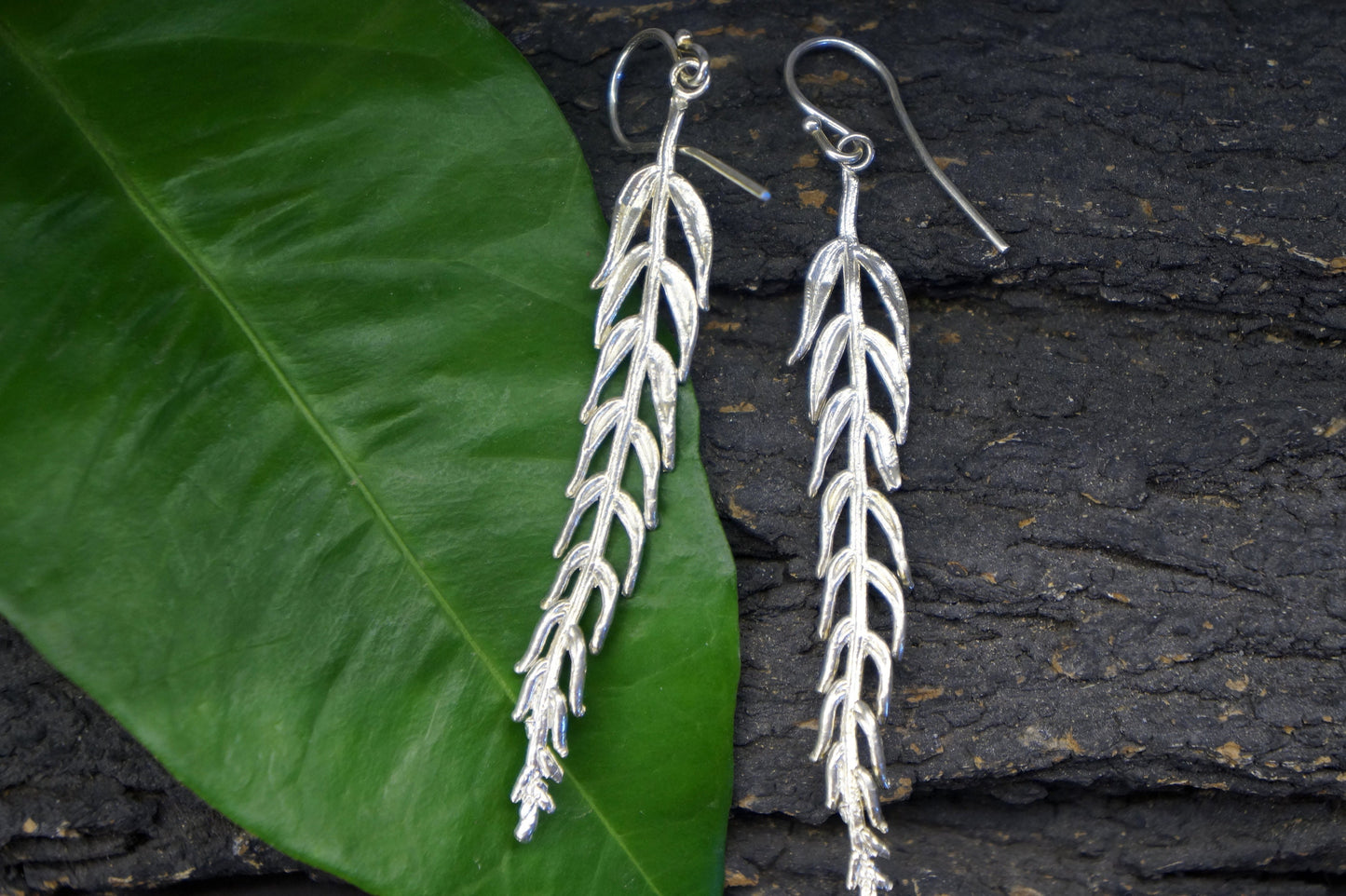 REAL Araucaria Leaf earrings in Sterling Silver, Unusual Long earrings from Mother Nature jewelry.