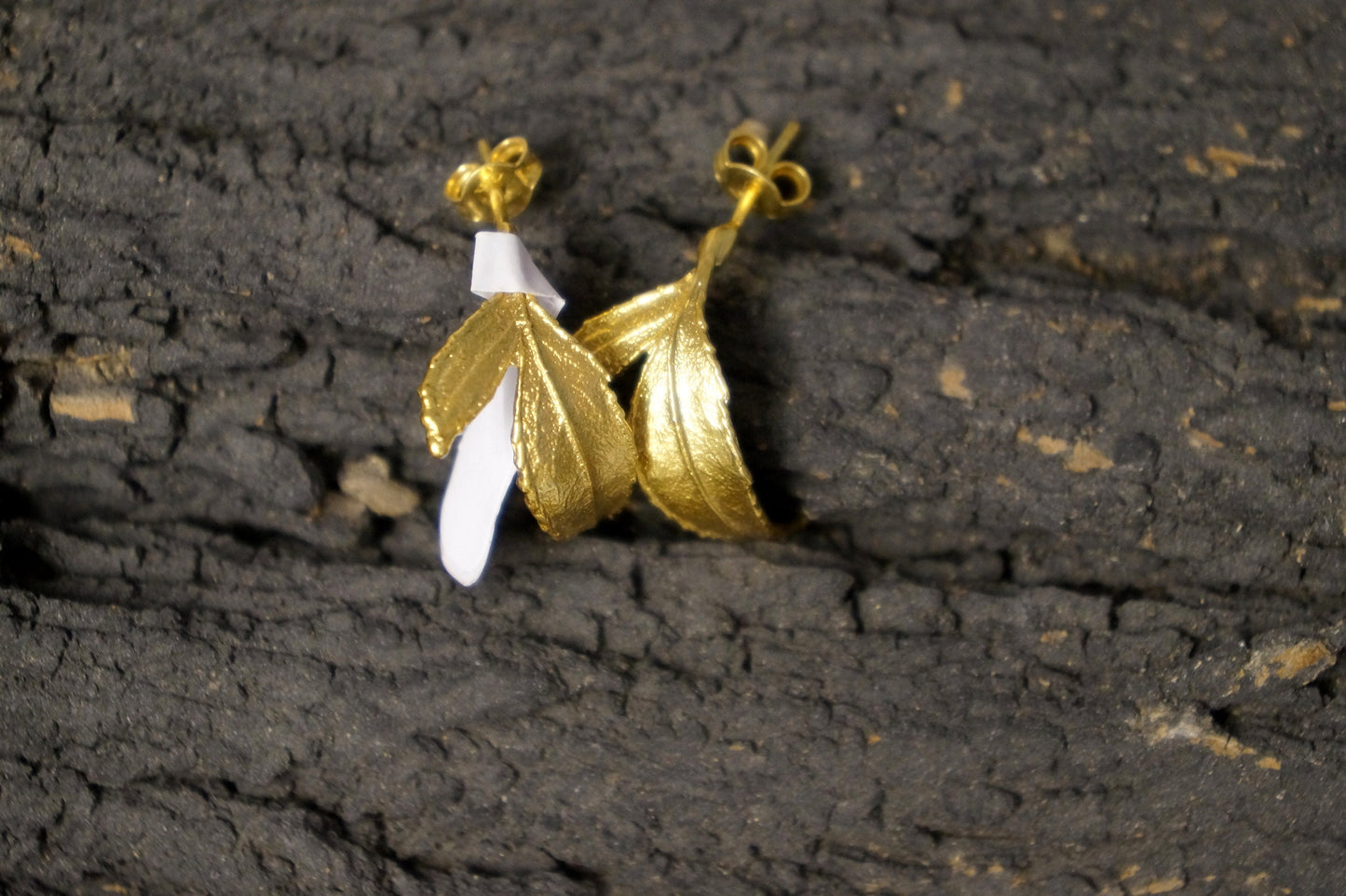 Small Stud hoops Rose leaf Earrings,Gold plated on sterling silver Hoop Earrings for Women. Real Rose leaf by Mother Nature Jewelry