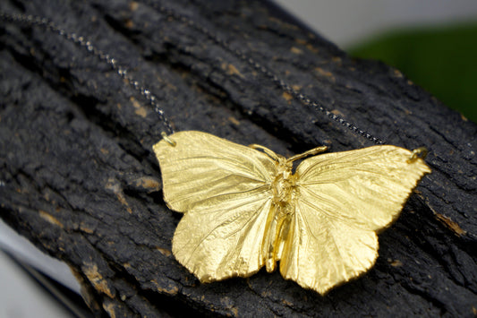 Butterfly Necklace 18K gold plated on sterling silver. Pendant Necklace on black Rhodium chain. (I found the Butterfly dead)