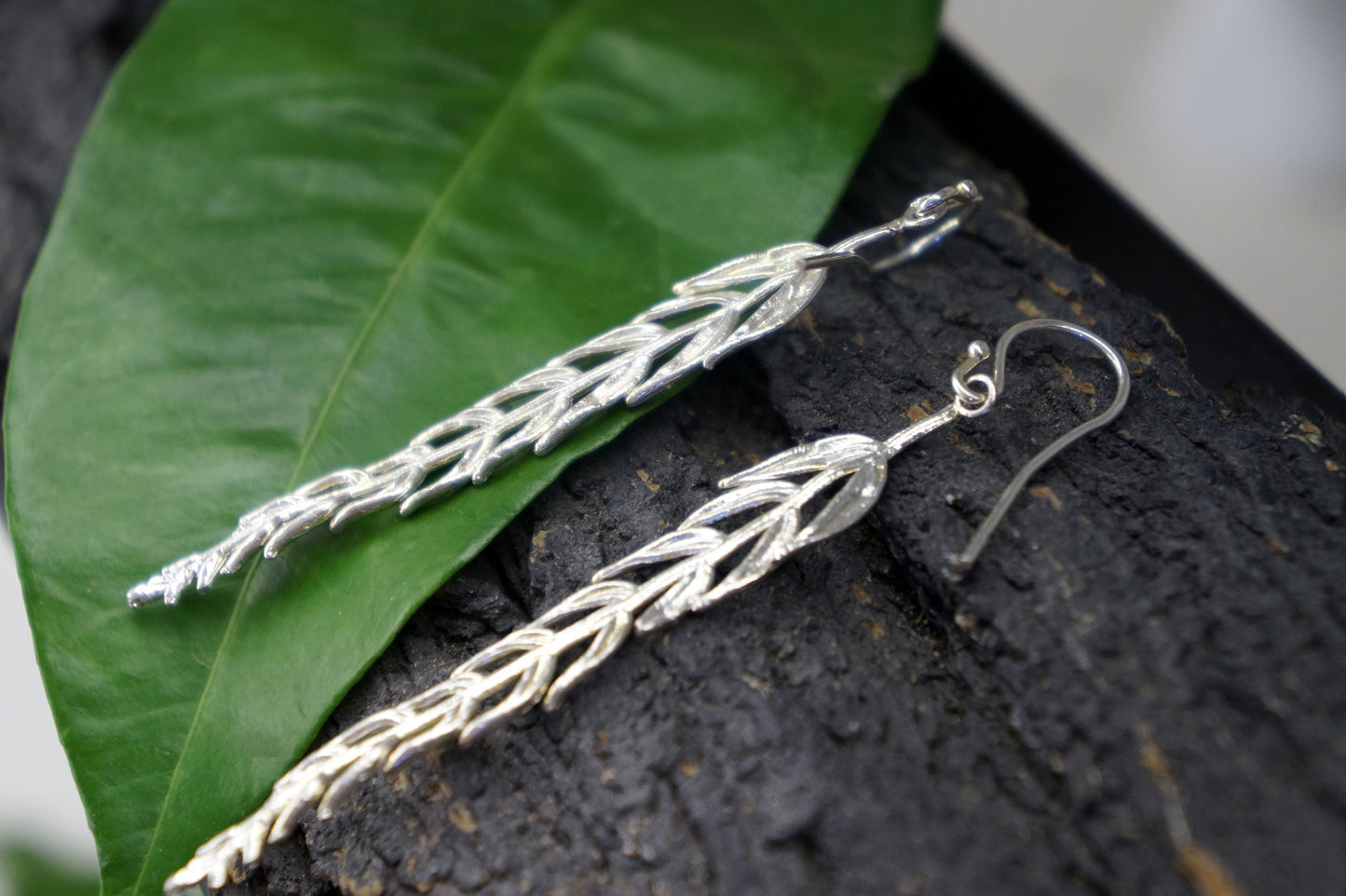 REAL Araucaria Leaf earrings in Sterling Silver, Unusual Long earrings from Mother Nature jewelry.