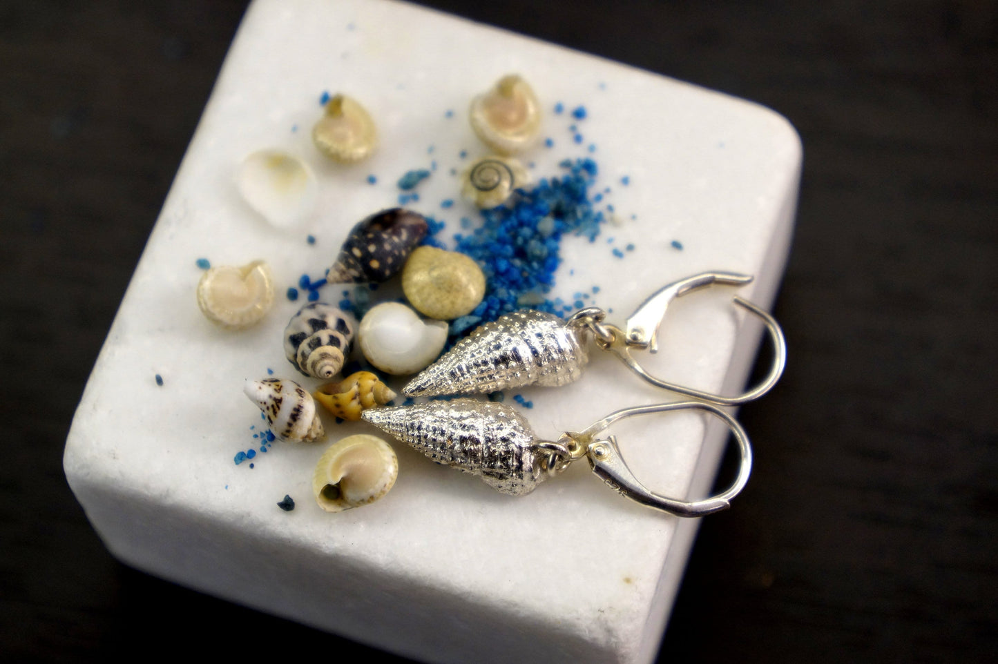 Real Sea Shell Earrings in Sterling Silver.