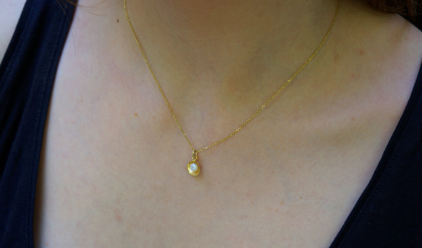 Real Sea shell sterling silver Gold plated necklace with freshwater pearl.