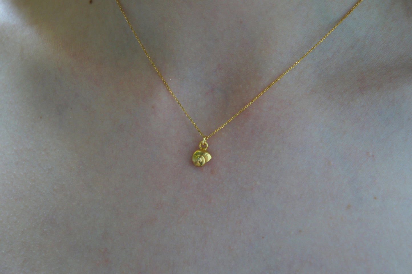 Dainty minimal Sea Shell chain Necklace on Goldplated Sterling silver.