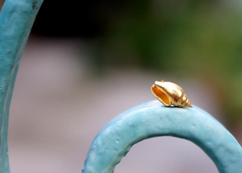 Solid Gold Sea Shell Stud Earrings, Real Gold 18k,14K,9k Real Shell Earrings,Small Summer Inspired Earrings by Mother Nature Jewelry.