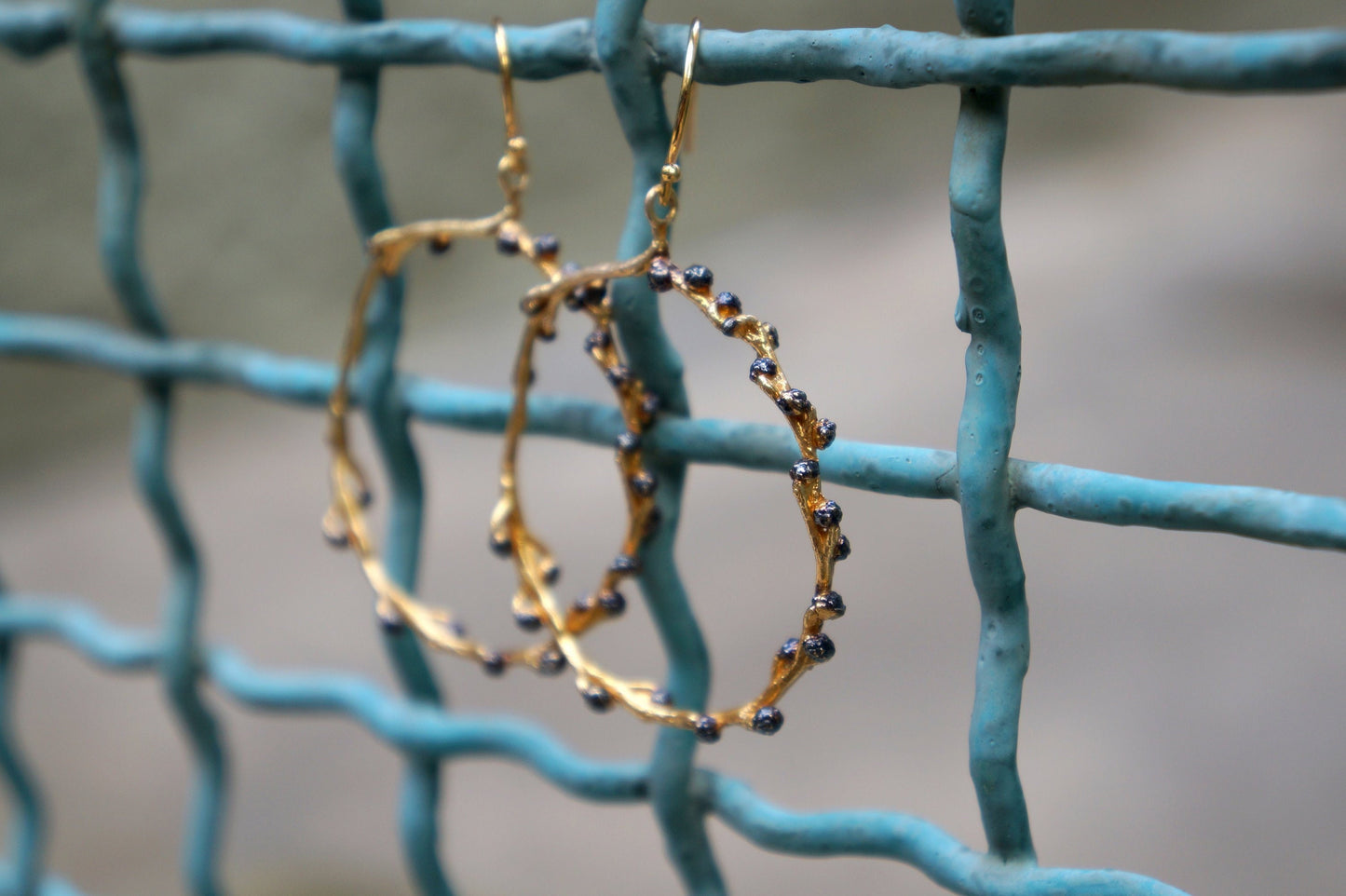 18k Gold plated hoop earrings for women. Gold twig & black rhodium buds, Real Mimosa Acacia branch,symbol of renewal,fortitude and pureness