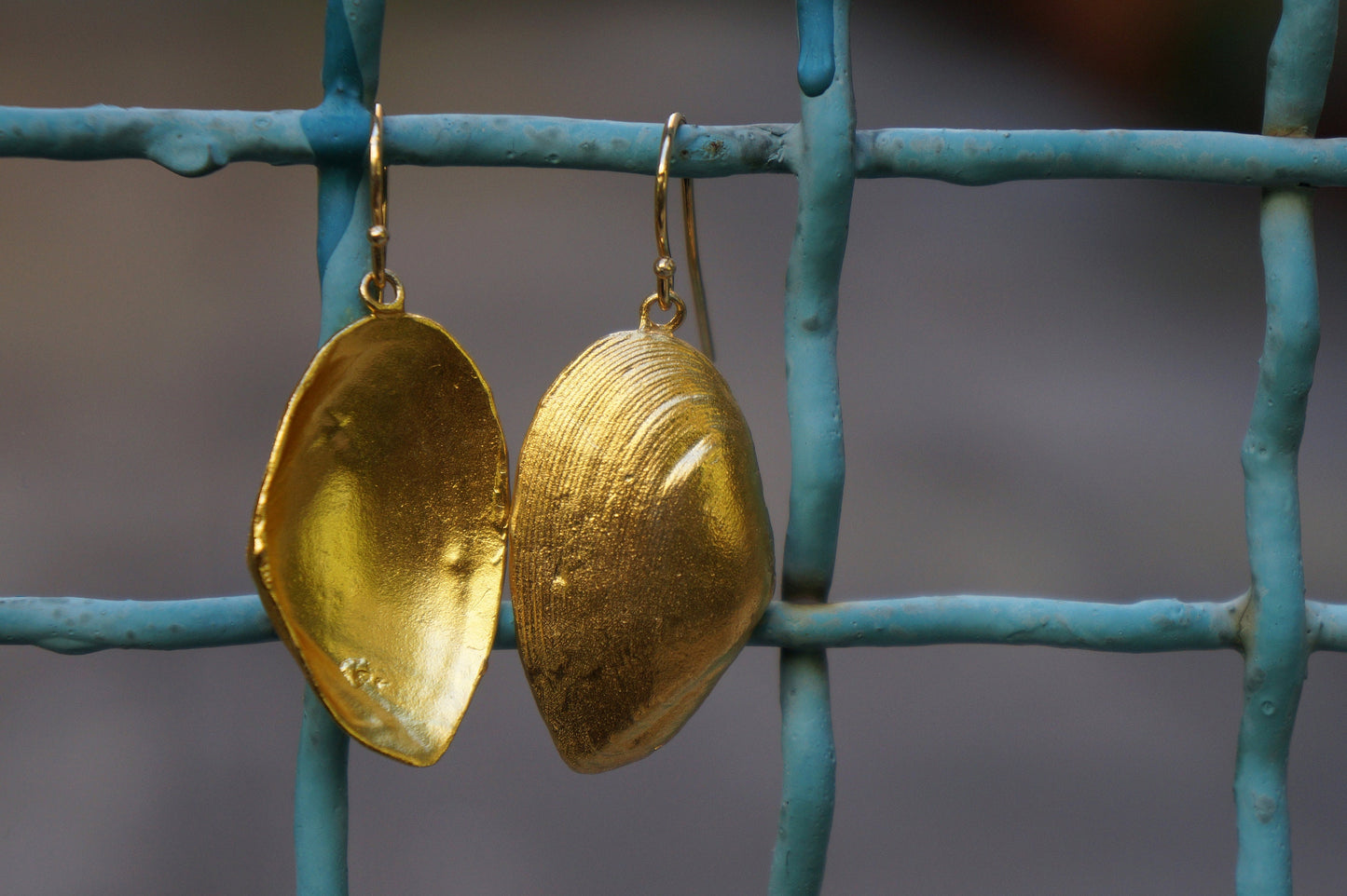 Sea shell, Gold plated Silver Clam Shell Earrings.