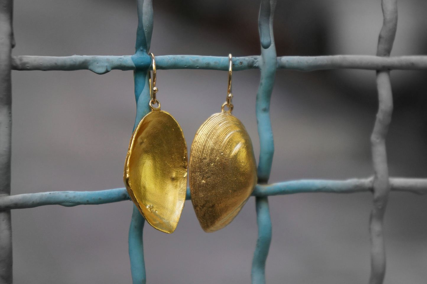 Sea shell, Gold plated Silver Clam Shell Earrings.