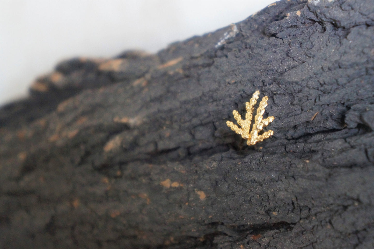 Juniper.Tiny Solid Gold Stud Earrings, Minimalist cypress Leaf Earrings for Men and Women. Everyday 18k-14k-9k Gold Jewelry