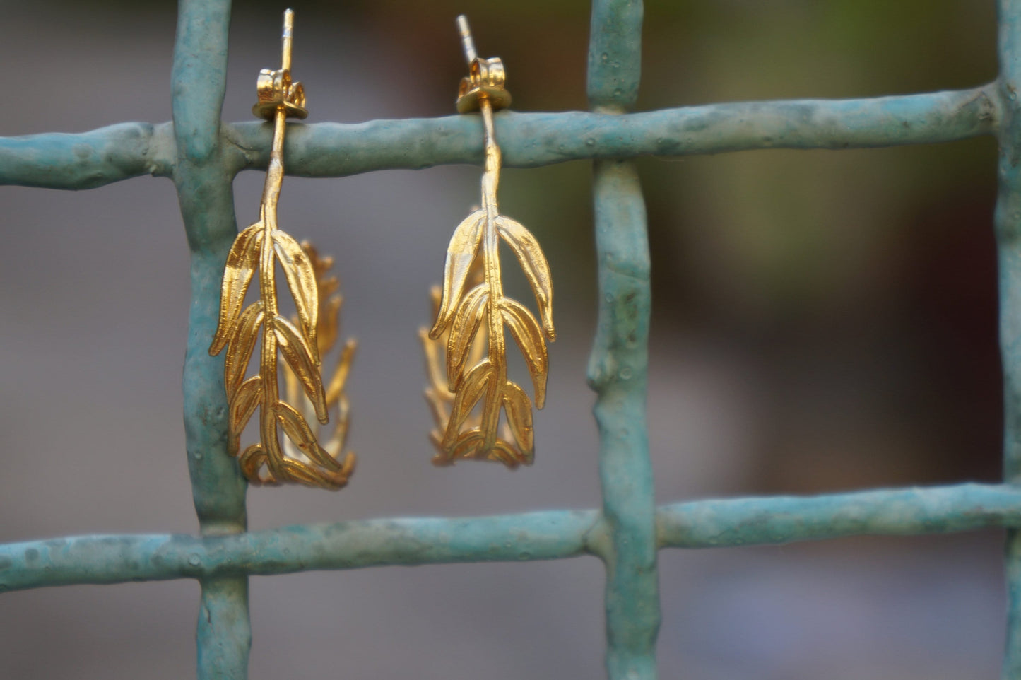 Gold Hoops Earrings for Women, Sterling Silver Real Acacia leaves.