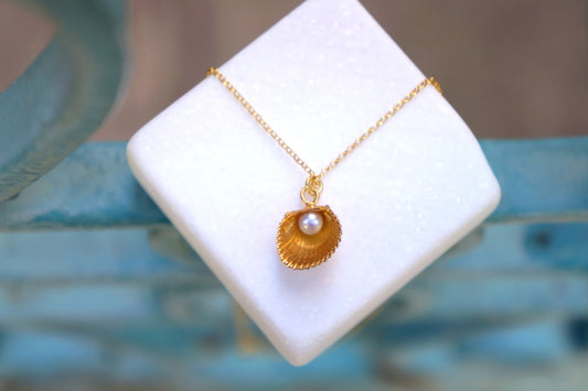 Solid GOLD sea shell necklace with freshwater Pearl. Necklace pendant with Gold chain or without.Symbolize evolution, life and longevity