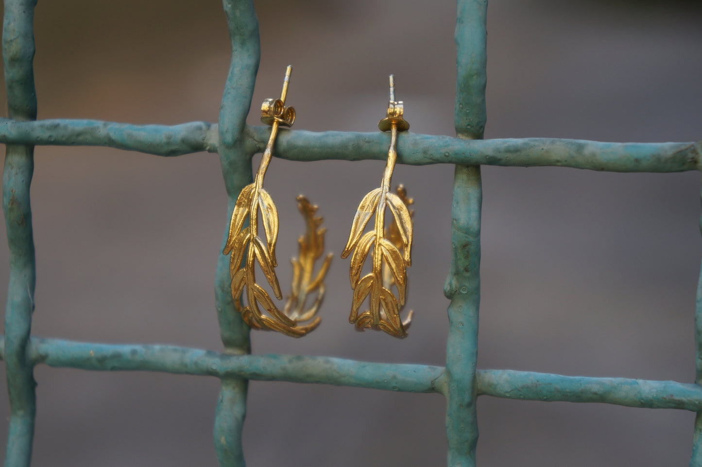 Gold Hoops Earrings for Women, Sterling Silver Real Acacia leaves.