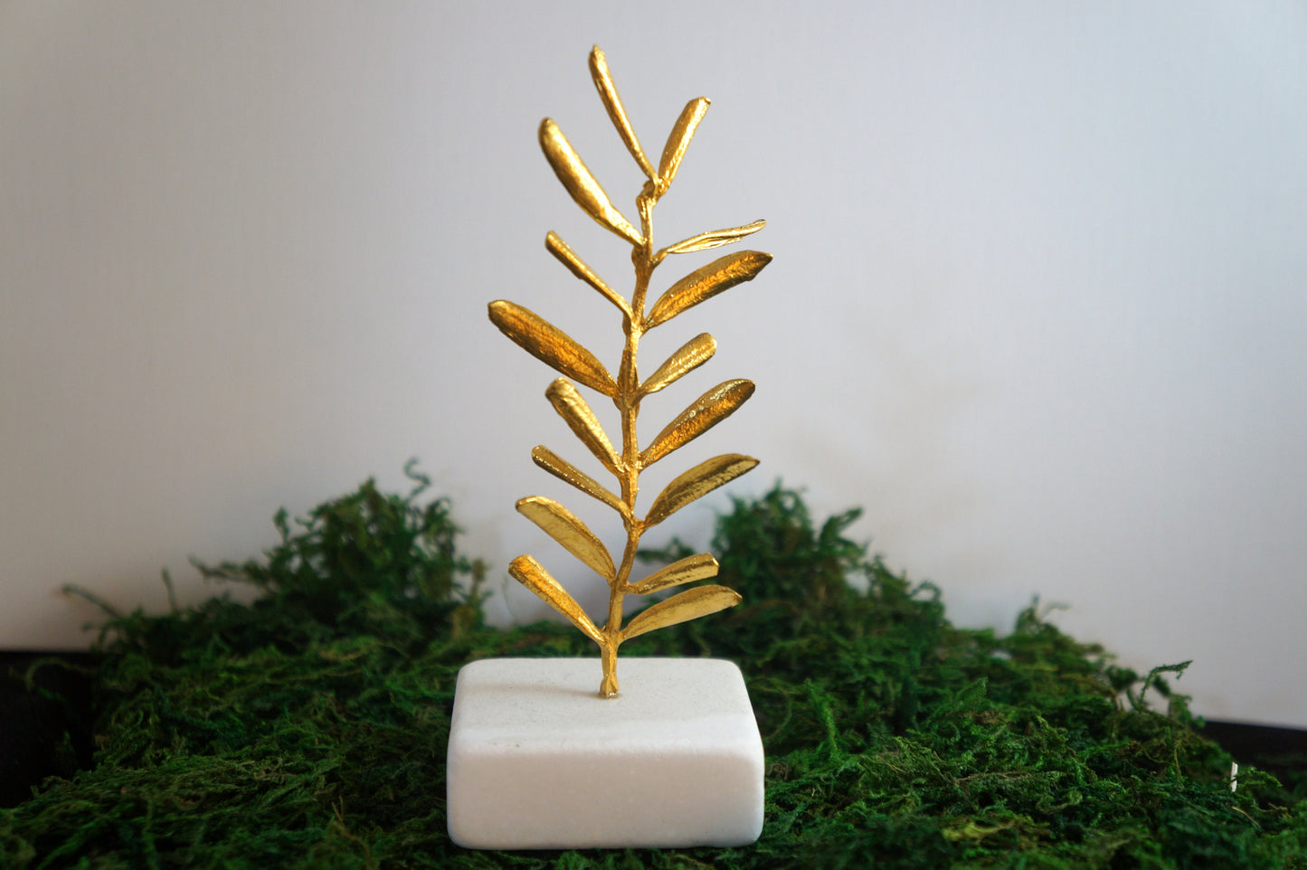 Real Olive branch,Olive Tree Decor.Stocking Filler,Housewarming Gift,Wedding Centerpieces.Olive is a symbol of peace,protection & fertility