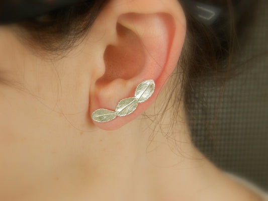 Ear crawler, Mismatched earrings. Real Rose leaf Ear climbers in sterling silver.Roses are ancient symbols of Love and Beauty .