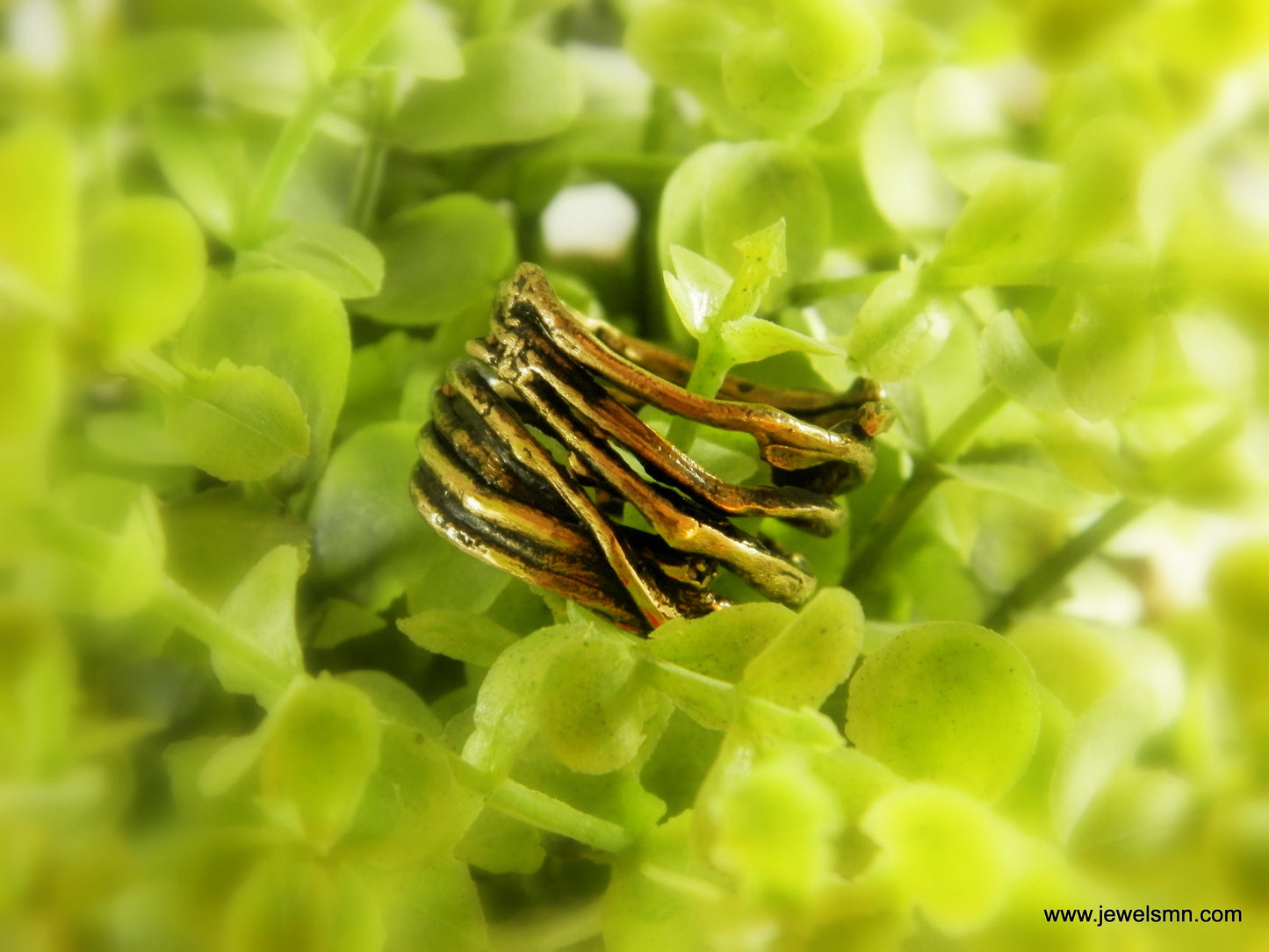 Pine needles Ring for men and women mold of  Οxidized brass. Pine tree symbolize Life, wisdom and longevity.