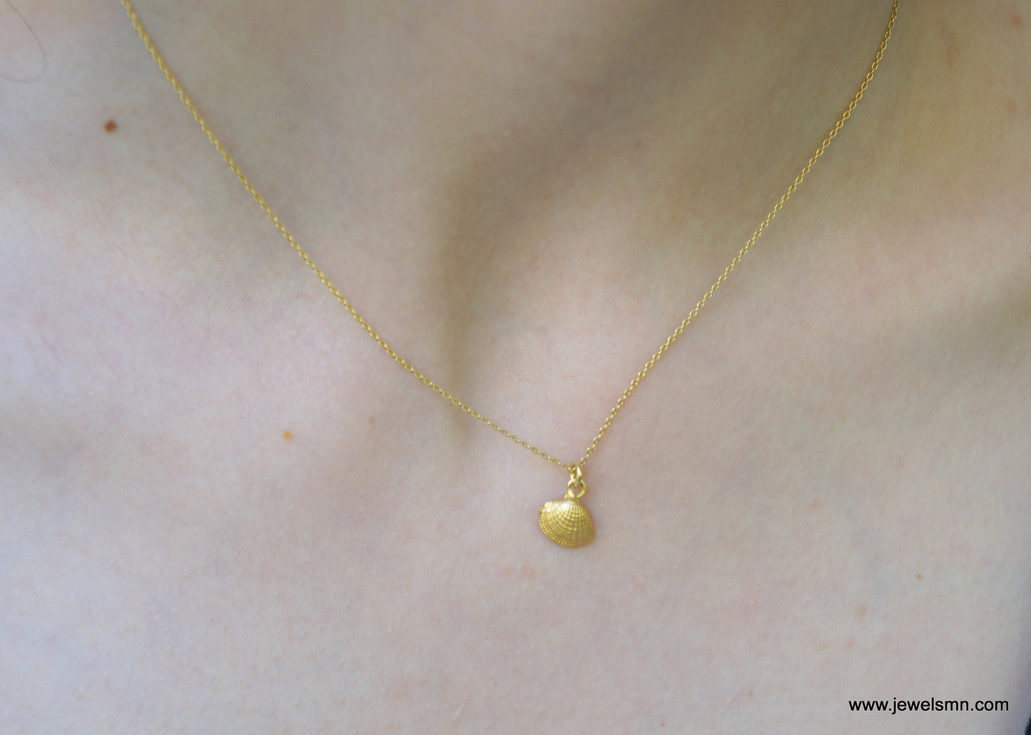 Tiny Sea shell GOLD jewelry pendant.Solid Gold Real Sea Shell Necklace, 9k 14K or 18k with chain , minimal gift for women and girls