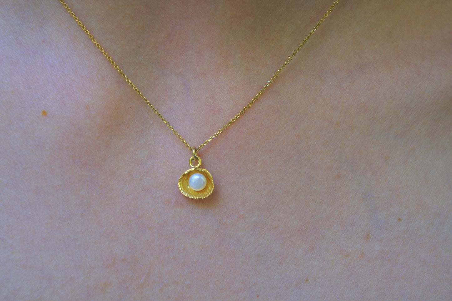 Real Sea shell sterling silver Gold plated necklace with freshwater pearl.