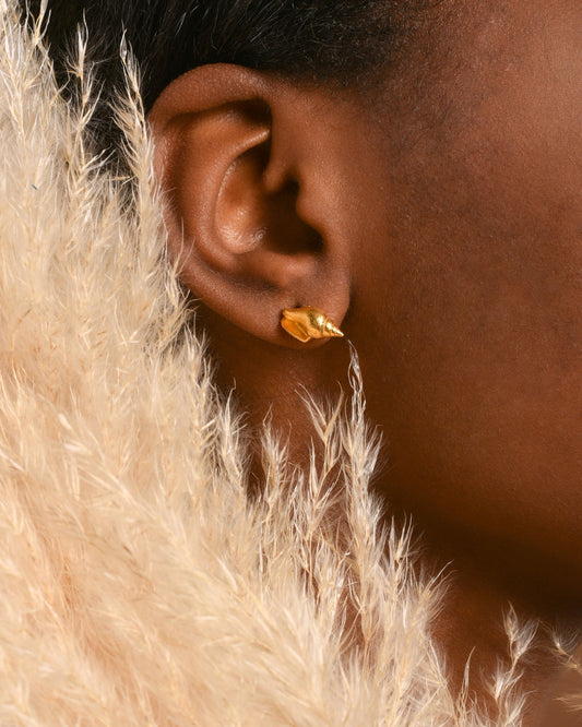 Sea shell Earrings. Tiny shells goldplated sterling silver 925. Symbol of evolution, protection  of life and longevity.