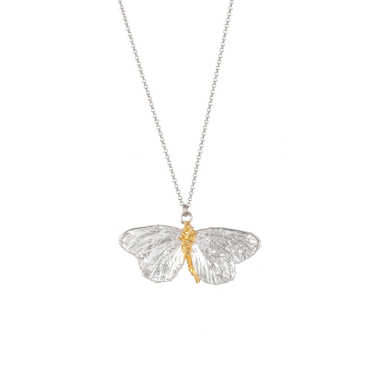 Real Butterfly necklace for women on sterling silver by Mother Nature Jewelry. Symbol of powerful transformation.