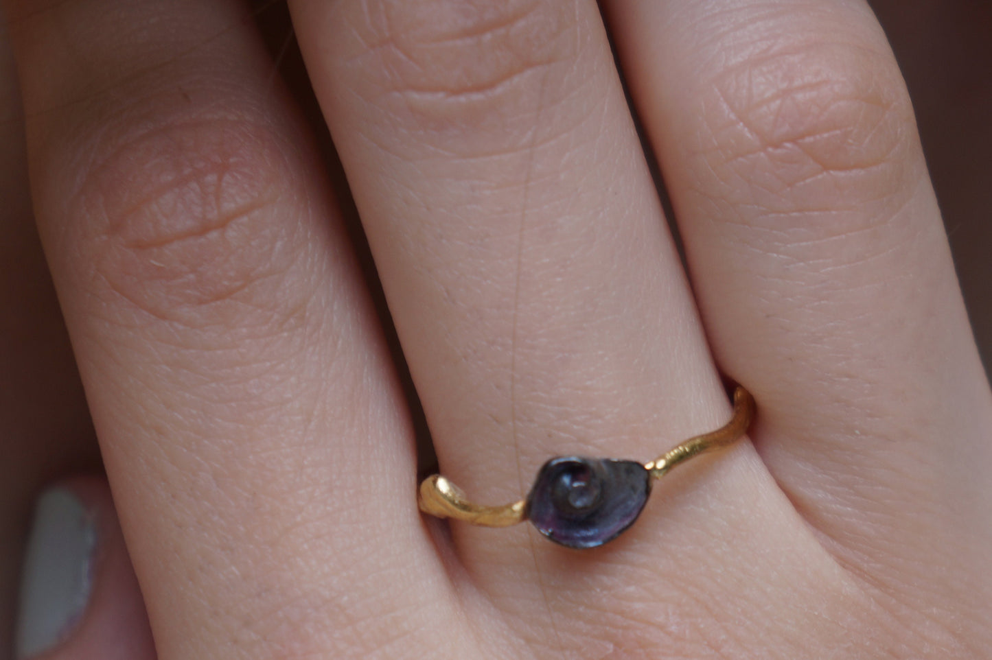 Gold and Black Dainty Sea Shell on twig sterling silver Ring for women.Minimal style by Mother Nature Jewelry Symbolize evolution,longevity