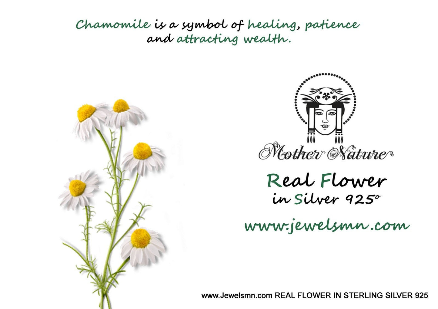 Tiny Chamomile flower charm necklace on chain. Recycled Sterling silver or 14k Gold on it by Mother Nature Jewelry.